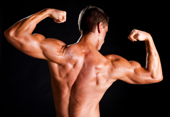 Big Pectorals