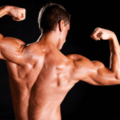 Muscle Building
